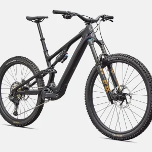 Turbo Levo SL 2 Expert Di2