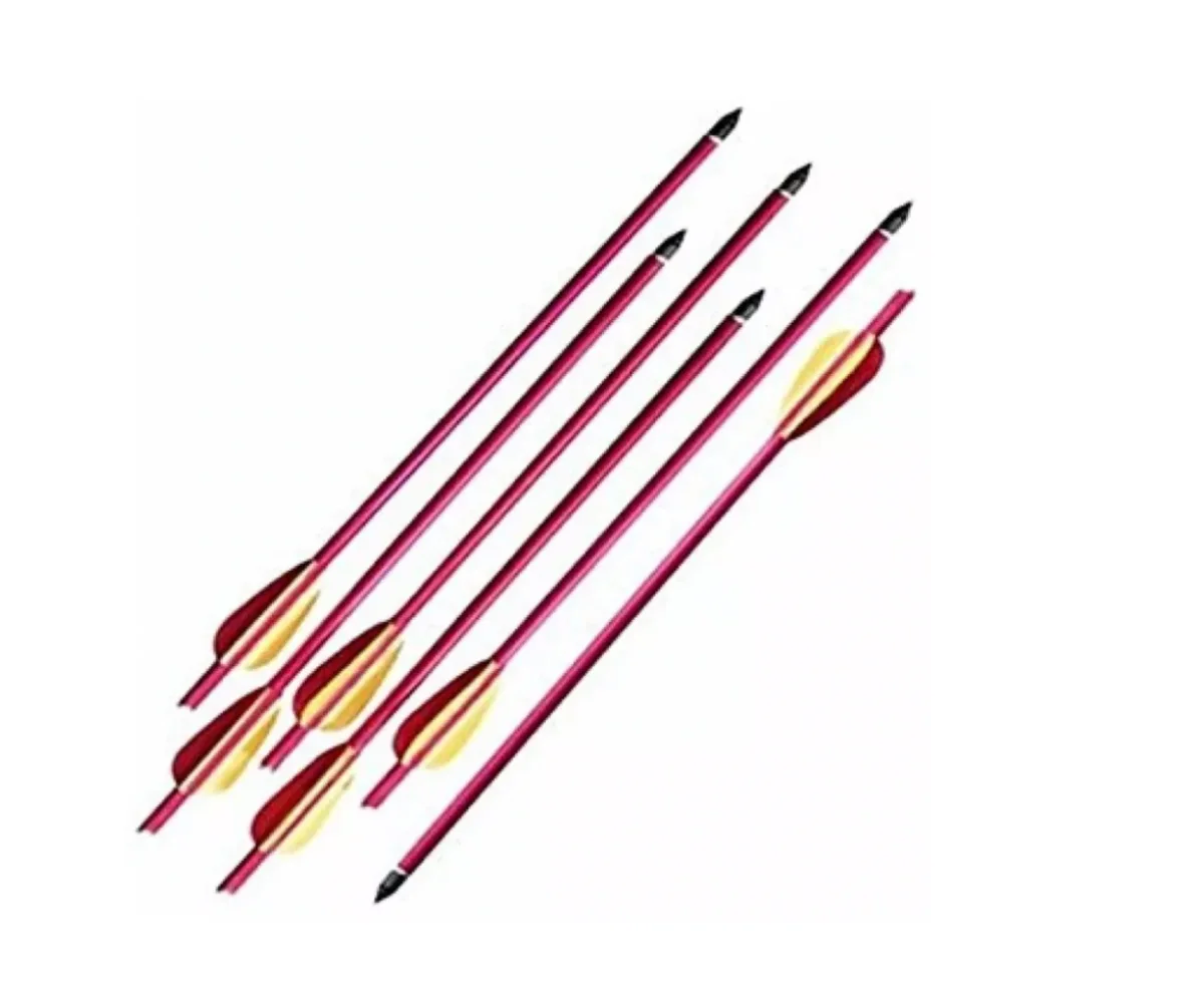 Flecha Ballestas 16 / Pack 6 Uni / Hiking Outdoor - Imagen 4