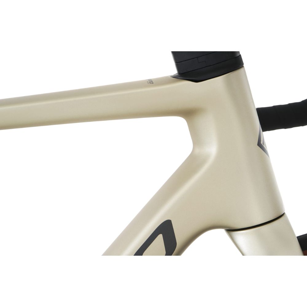 Megamo Raise 20 2026 - Imagen 6