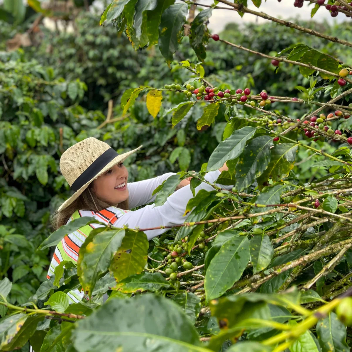 Café especial kom 500 gr - Imagen 3