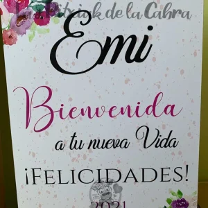 Bienvenida Nueva Vida