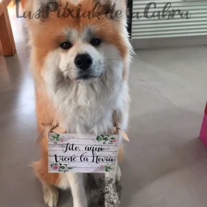 Cartel Adaptado talla XS Ena