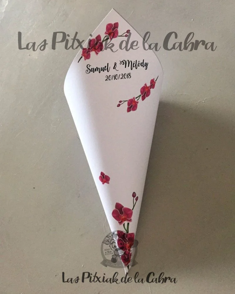 Conos Orquídeas Samuel y Mélody