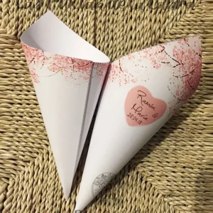 Los conos románticos de Ramón&María