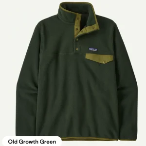 Patagonia Lightwweight Synchilla Snap-T Fleece Pullover