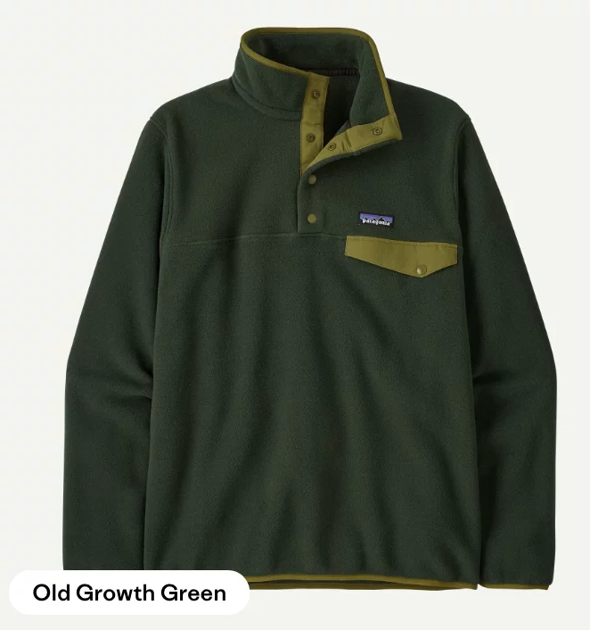 Patagonia Lightwweight Synchilla Snap-T Fleece Pullover - Imagen 2