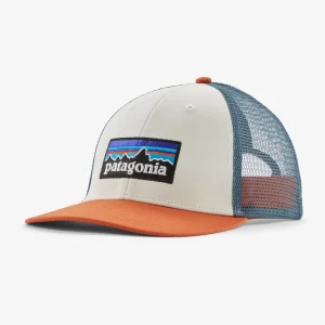 Patagonia P6 Logo LoPro Trucker Hat