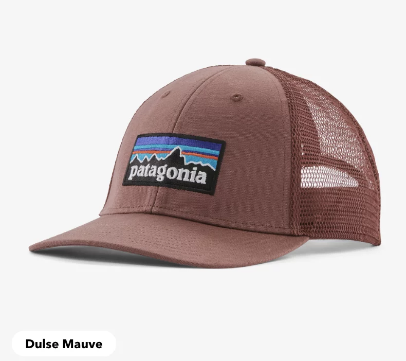 Patagonia P6 Logo LoPro Trucker Hat