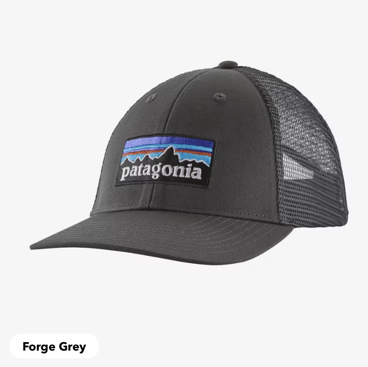 Patagonia P6 Logo LoPro Trucker Hat