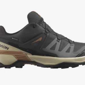 Salomon X Ultra 360 GTX