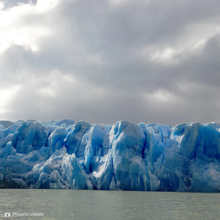 Cooler Grey 55QT - Imagen 9