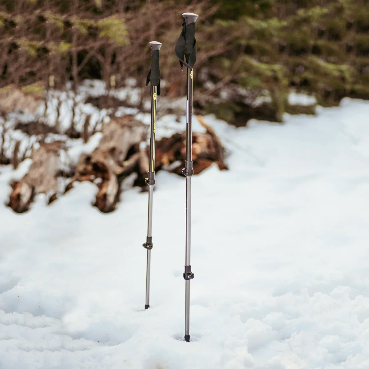 Bastones de Trekking Tour - Imagen 3