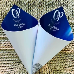 Conos Invertidos Patri