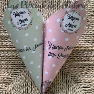 Conos bicolor Virginia y Marcos