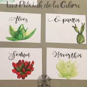 Meseros de Cáctus y Suculentas