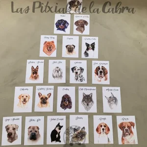 Meseros Perros y Gatos